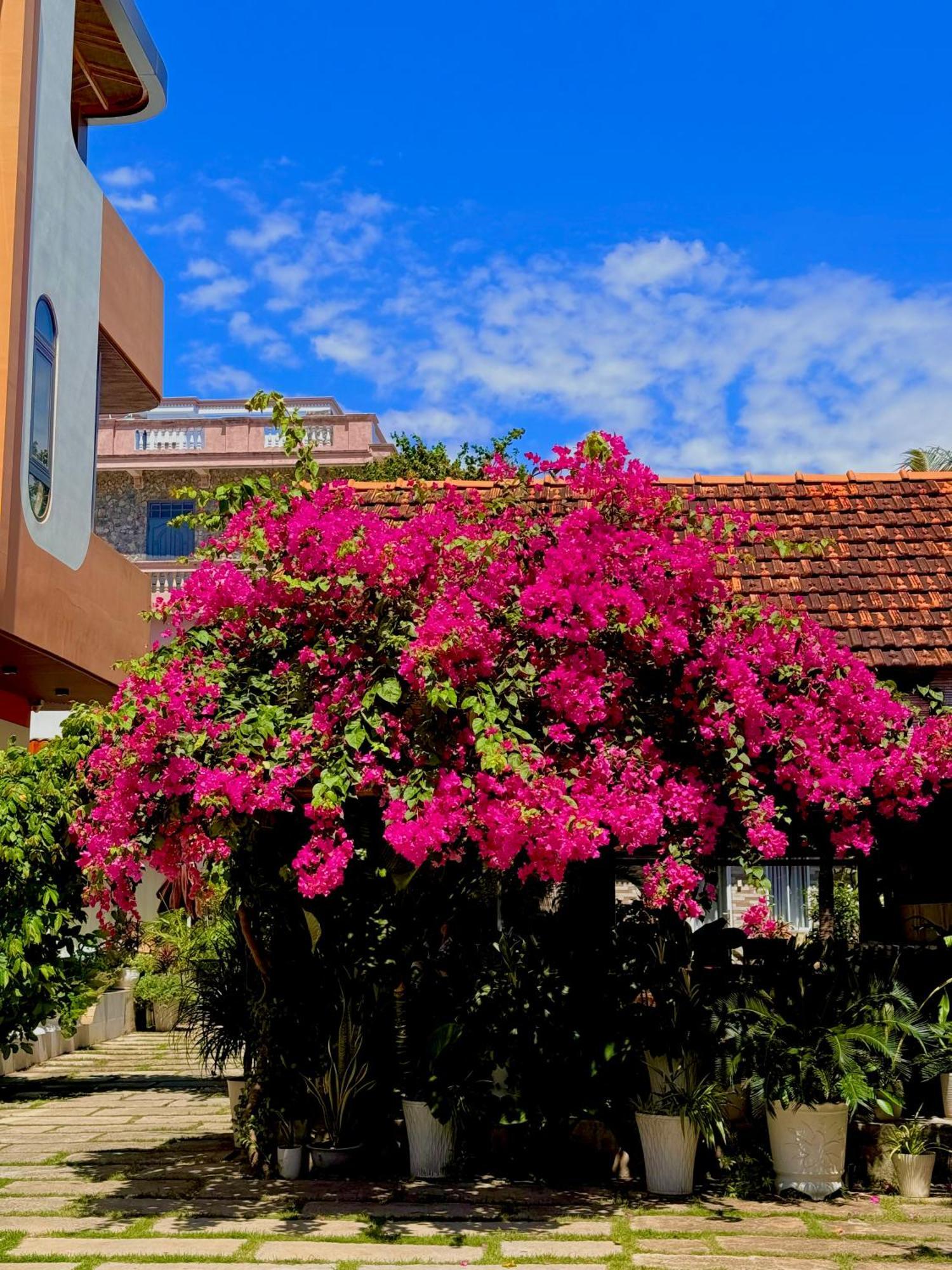 Ho Coc Homestay 外观 照片